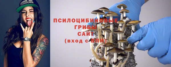 тгк Мегион