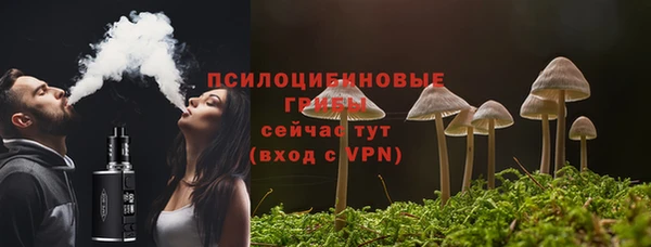 МДПВ Медвежьегорск