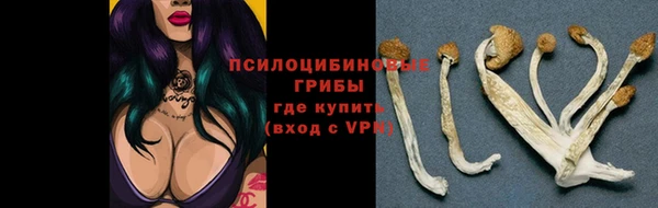 марихуана Медногорск