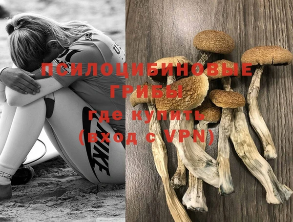 МДПВ Медвежьегорск