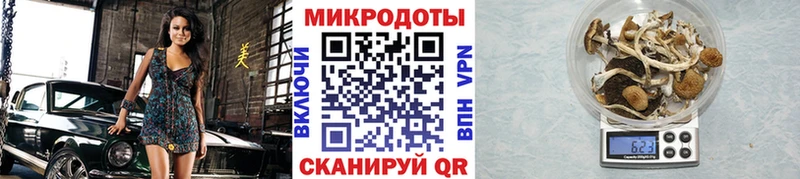 где можно купить   Шиханы  Галлюциногенные грибы Magic Shrooms 