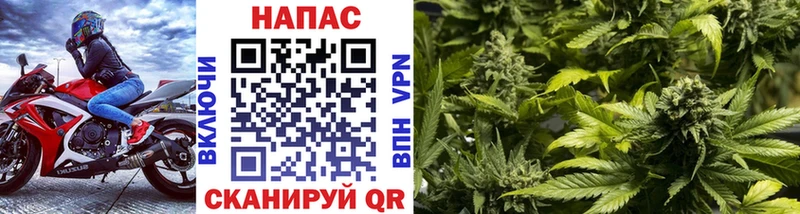 где найти наркотики  Шиханы  Бошки Шишки Ganja 